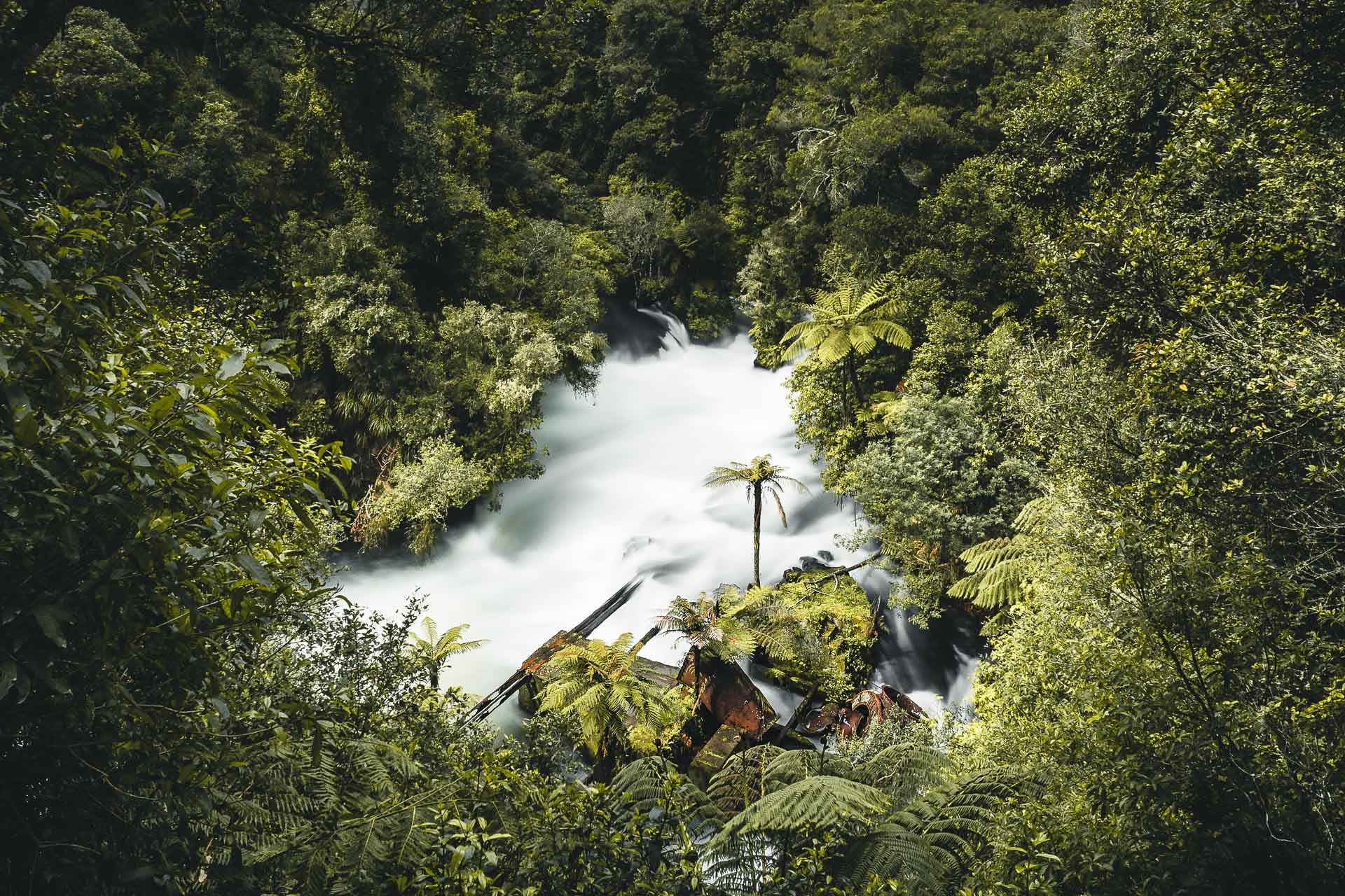 new zealand, falls, stream, long time  exposure, jungle, tree, water, white, green, palm, river, landscape, forest, woods, morning, grass, light, mist, colors, photography, sony alpha, best, travel, globe, view, hiking, santifaller photography, stefan, philipp, wander roam, 